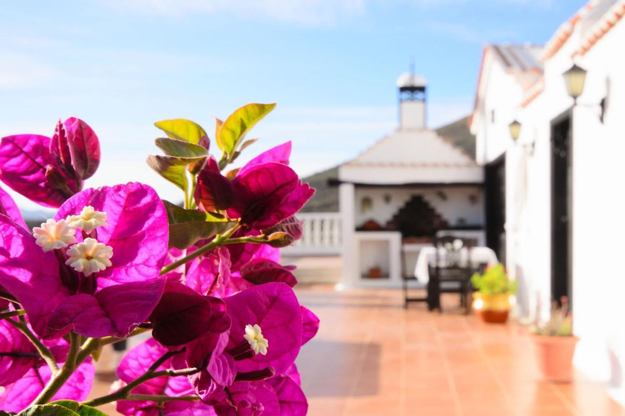 Casa Clara 3 Villa Conil Eksteriør bilde